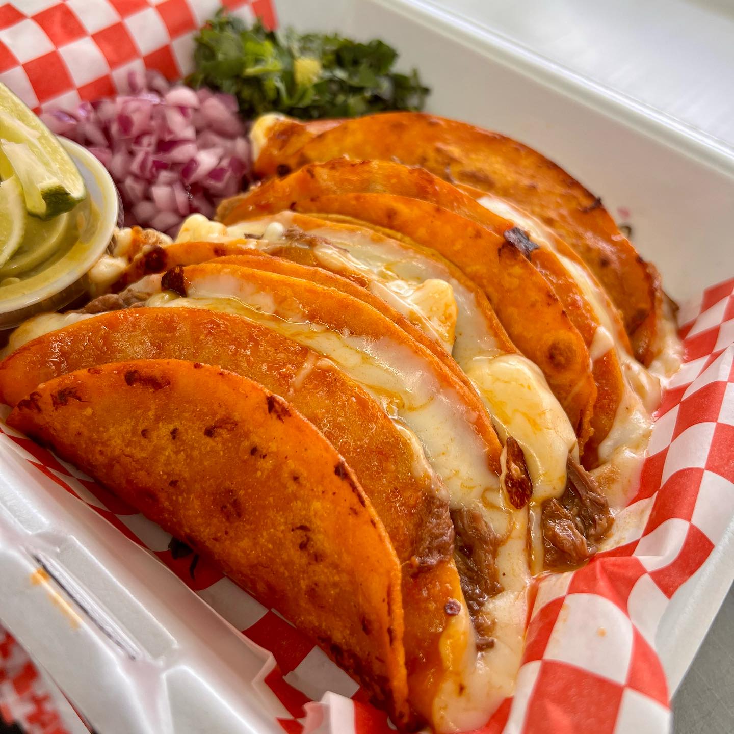 Tejas Birria food truck adding New Braunfels location