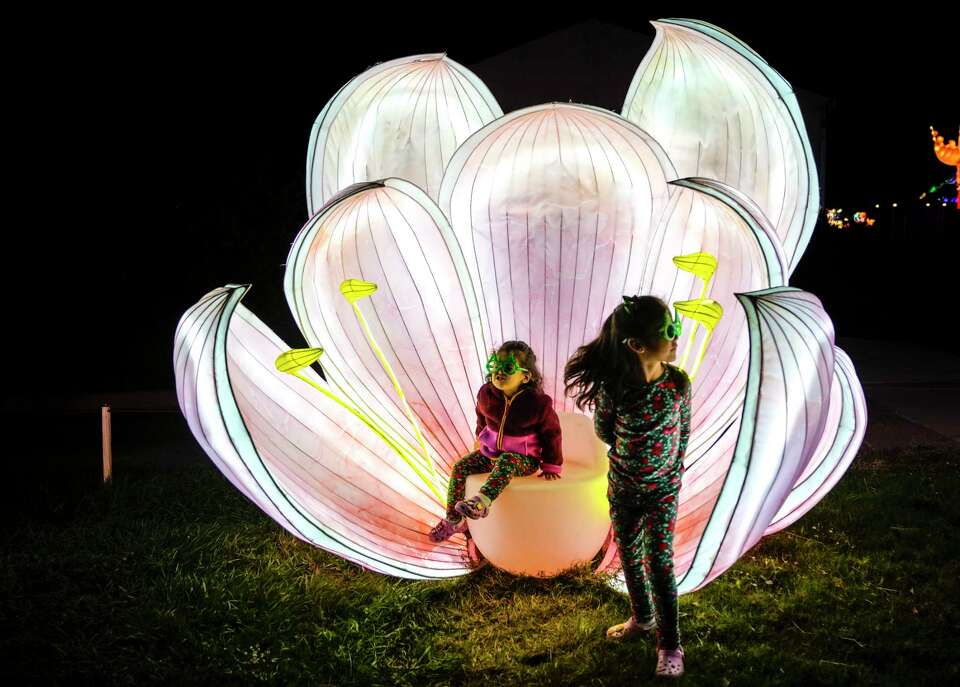 See Inside Radiant Nature At Houston Botanic Garden Holiday Lights