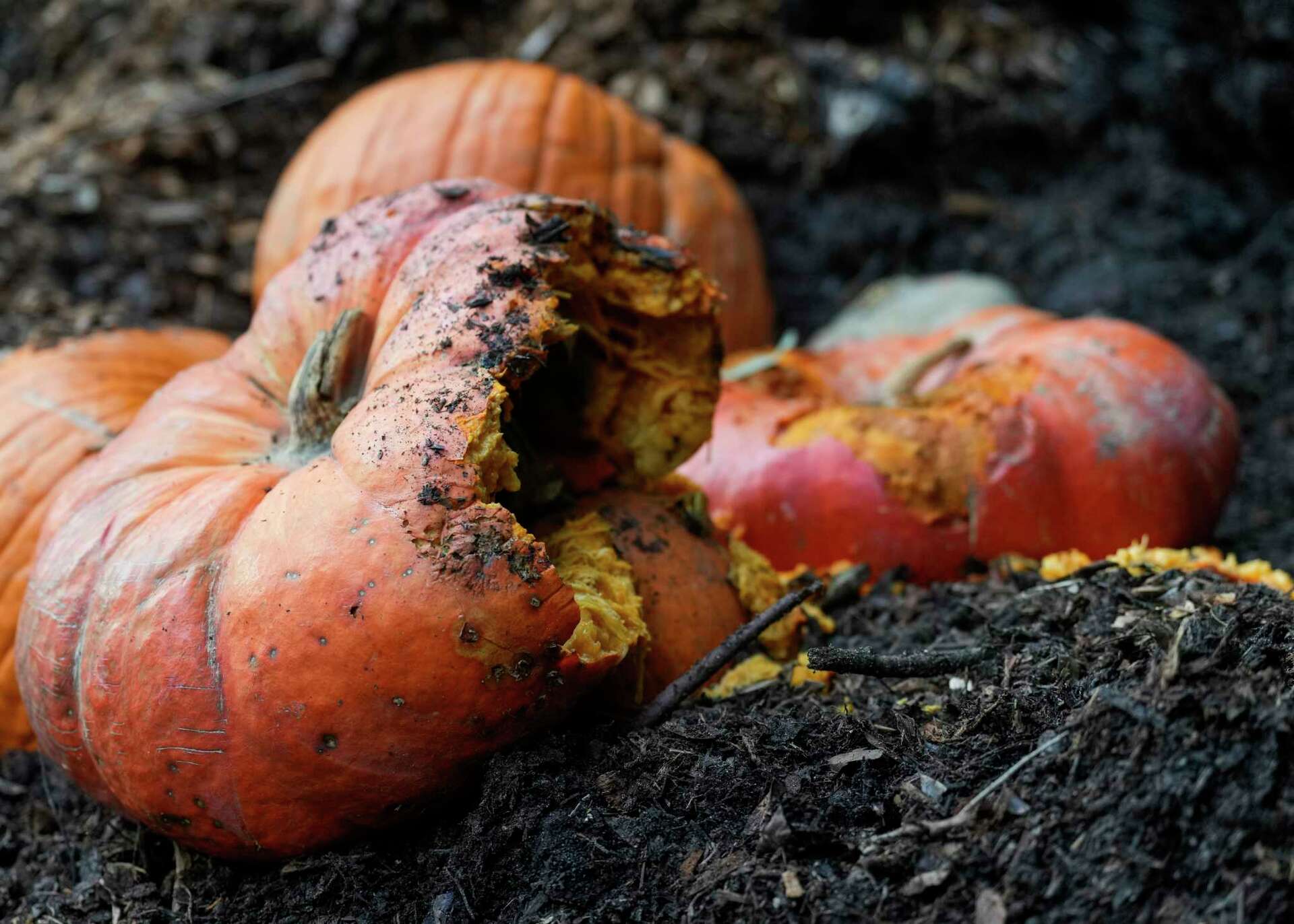 Houston ramps up efforts to introduce composting for city residents