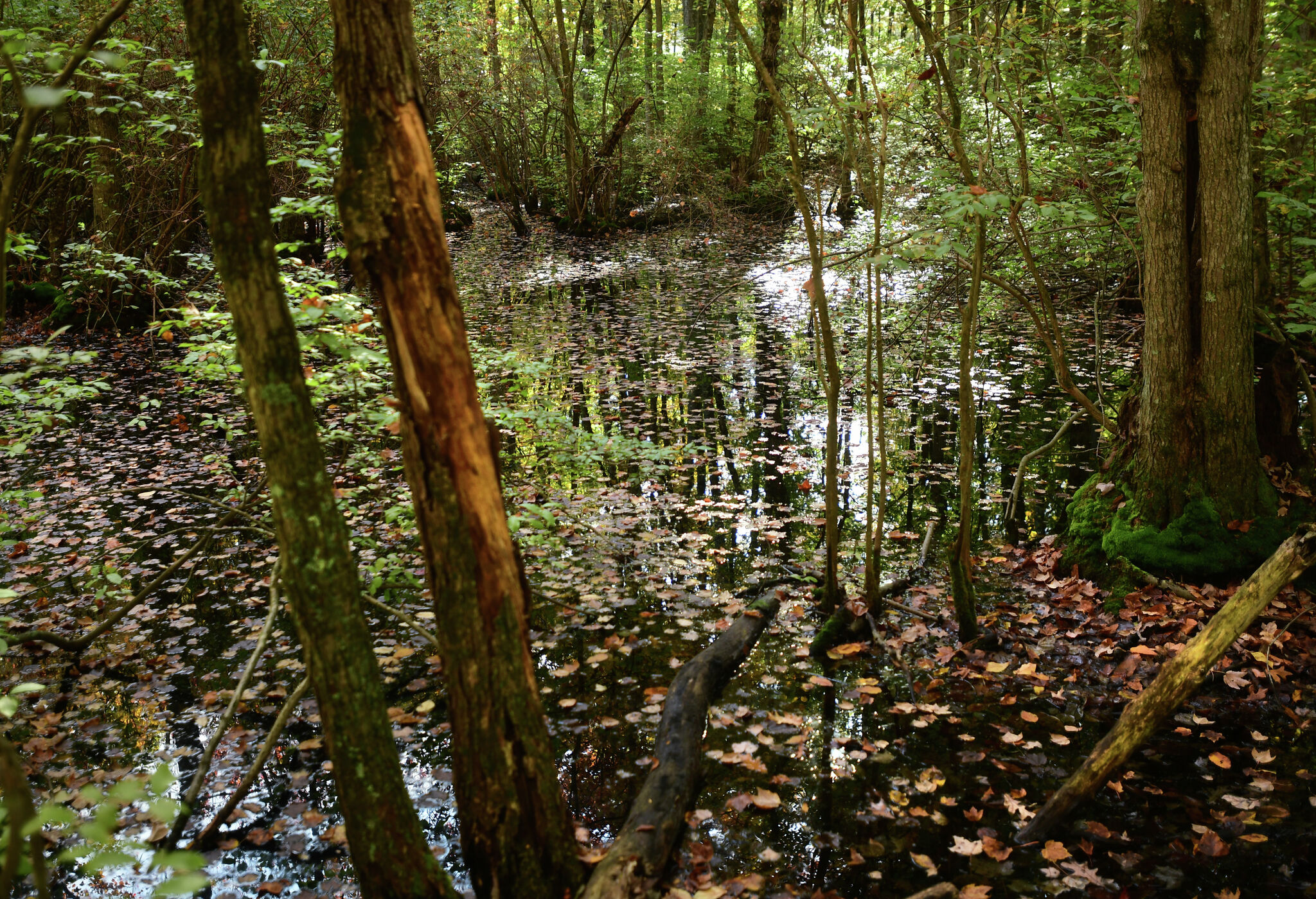Inland wetlands agencies site of source of housing debates in CT