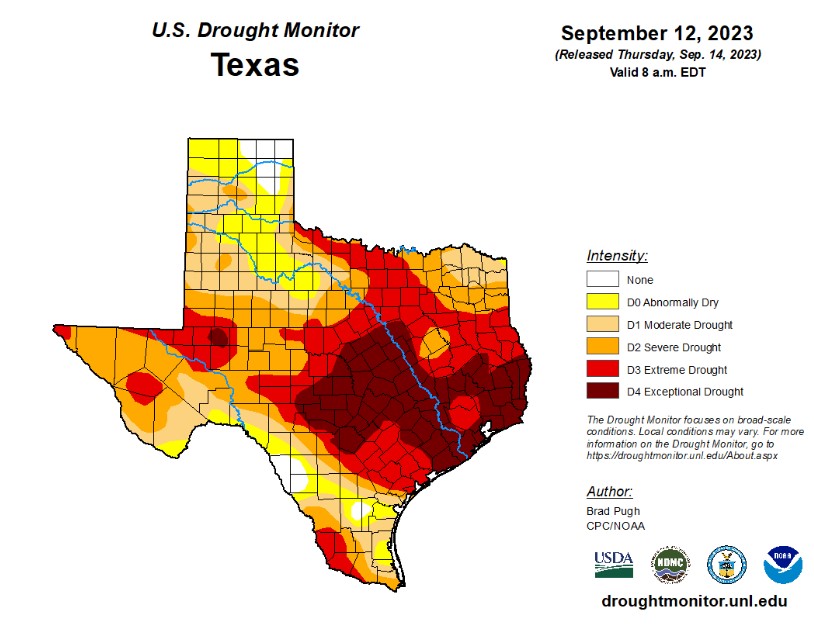 Texas drought continues but Houston could see rain Sunday