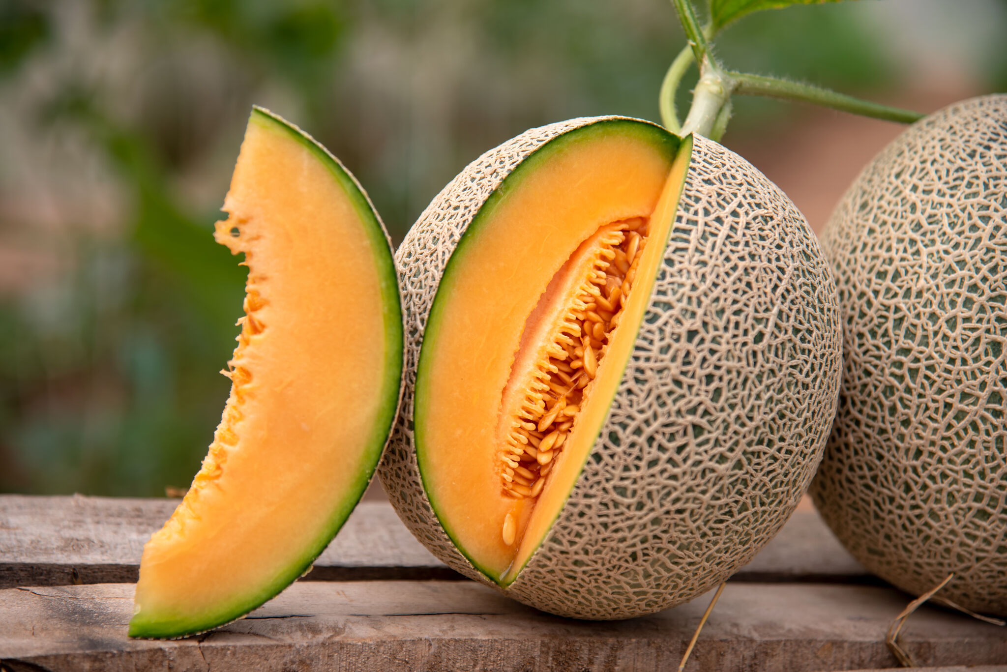 Whole and Pre-Cut Cantaloupe Recalled From Aldi and Other Stores in 32  States Due to Salmonella Outbreak