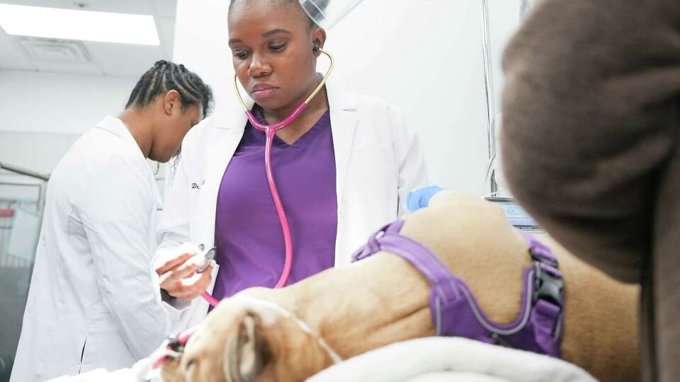 Dr. Cherese Sullivan puts on her stethoscope at Skyline Animal Hospital on Wednesday, Nov. 29, 2023 in Houston.