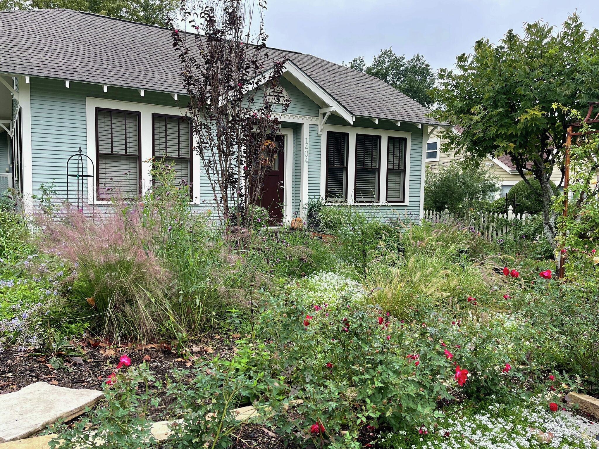 I turned my yard into a nature-scape that doesn't need mowing, image size:2048x1536