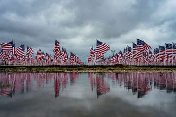 New orleans veterans day deals