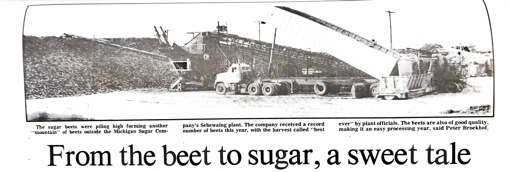 Huron County Throwback from the Huron Daily Tribune in November 1982 Huron County Throwback from the Huron Daily Tribune in November 1982