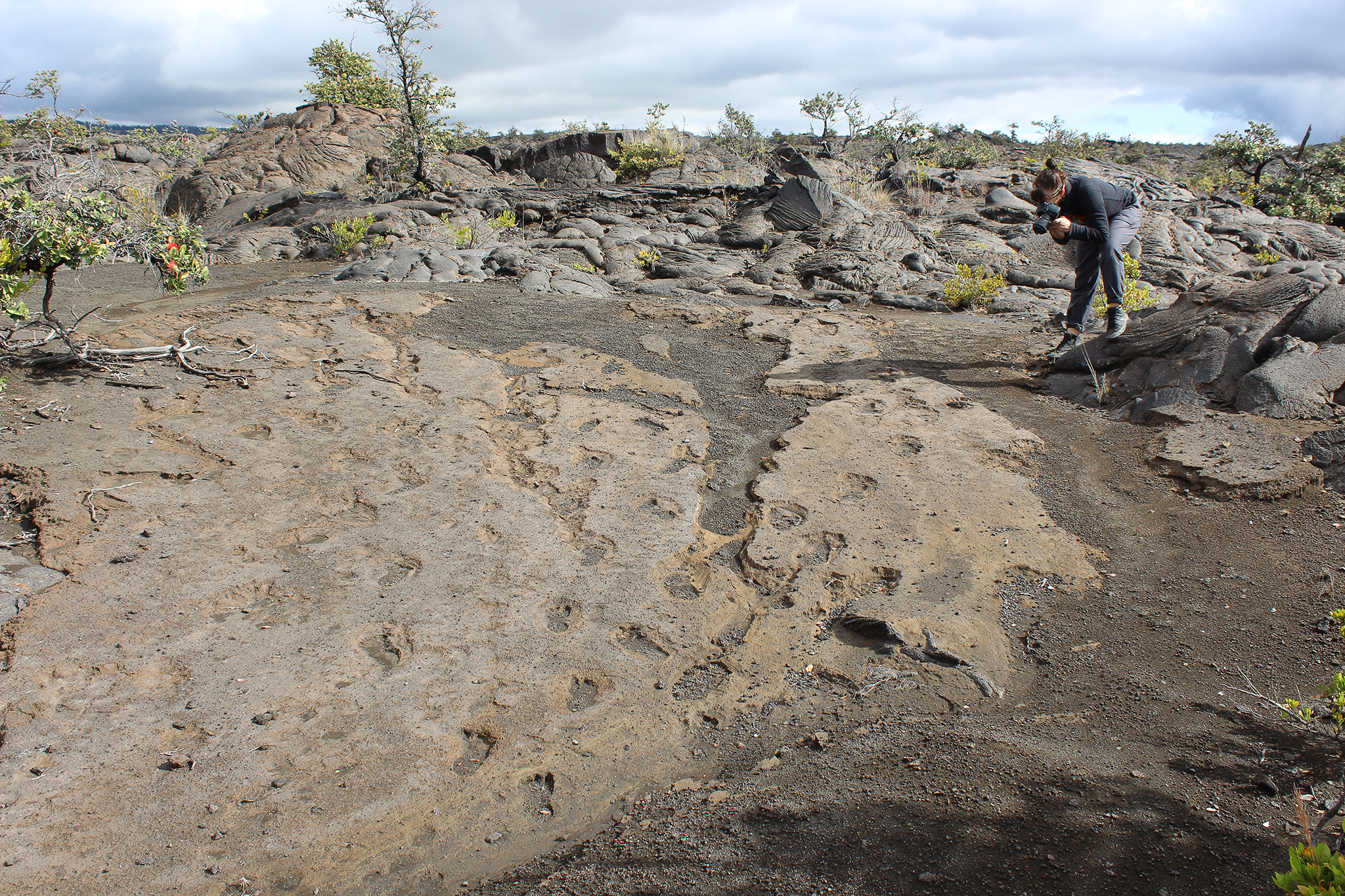 The mysterious Hawaii footprints fossilized in volcanic ash