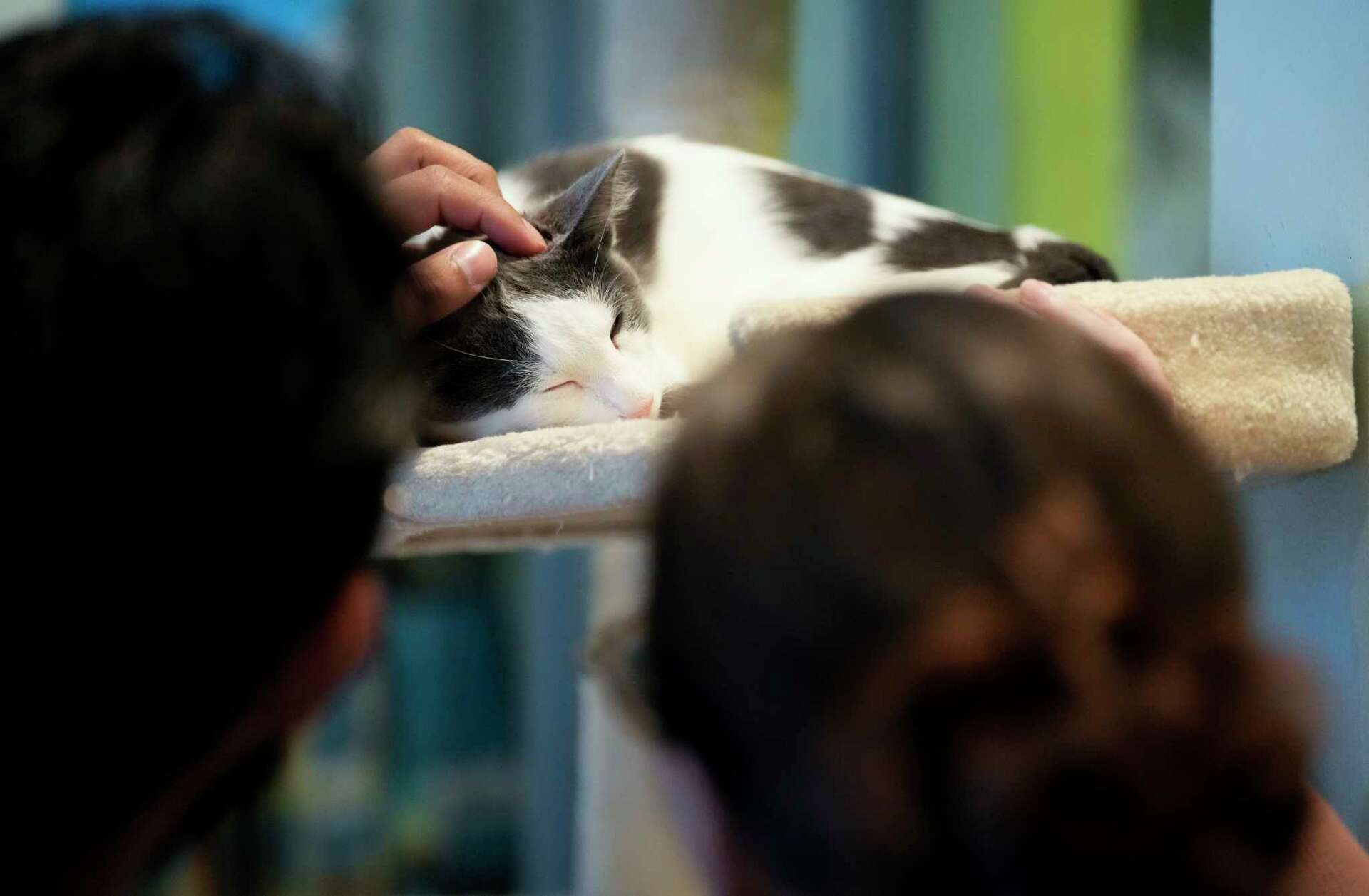 The Regional Geography of the Big Bend, Texas : International Affairs :  Texas State University, image size:1920x1257