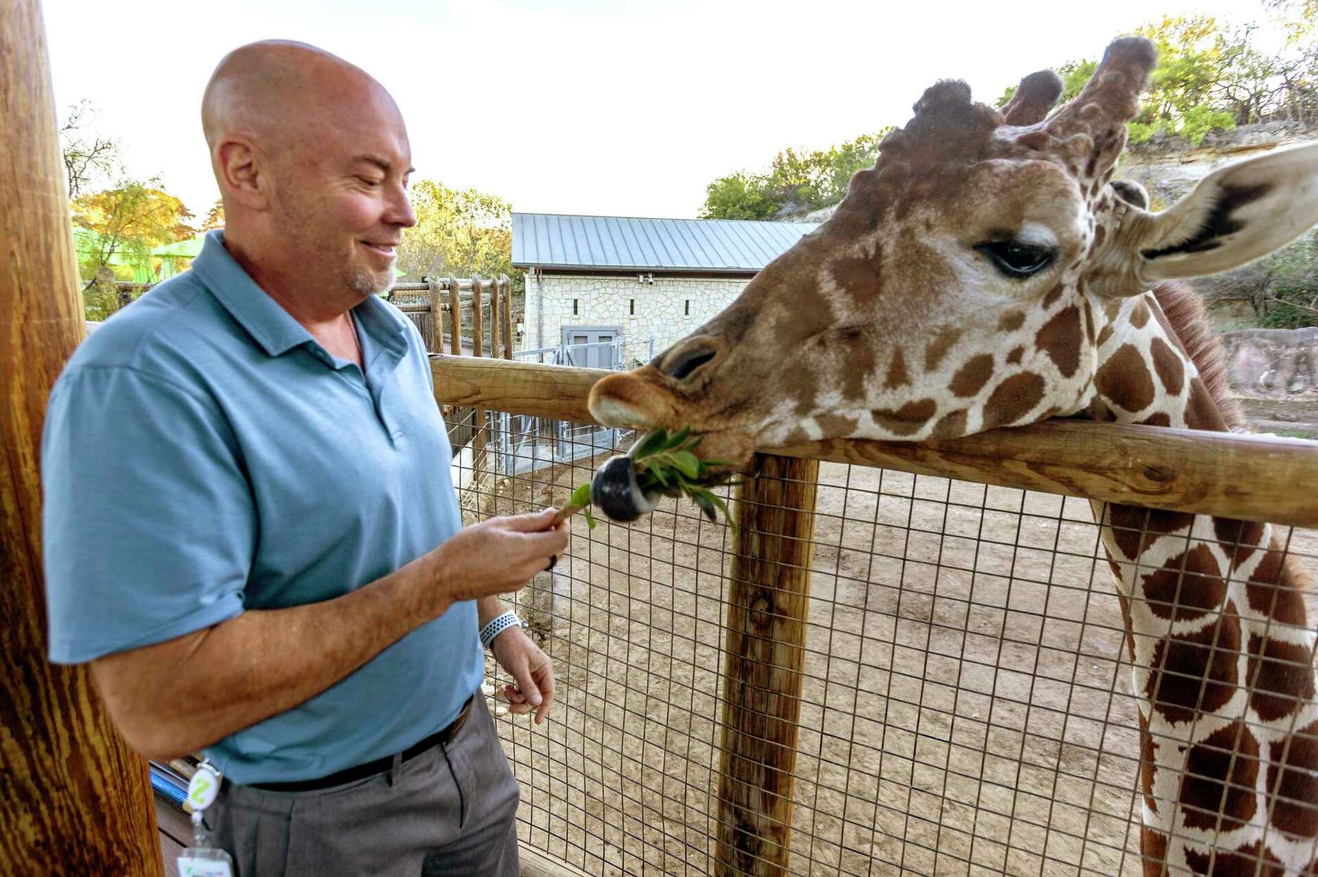 Bigger giraffe area, casita to stay overnight at San Antonio Zoo