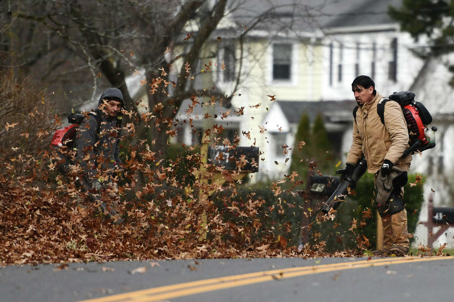 Greenwich bans leaf blowers for part of year, sets new noise ordinance