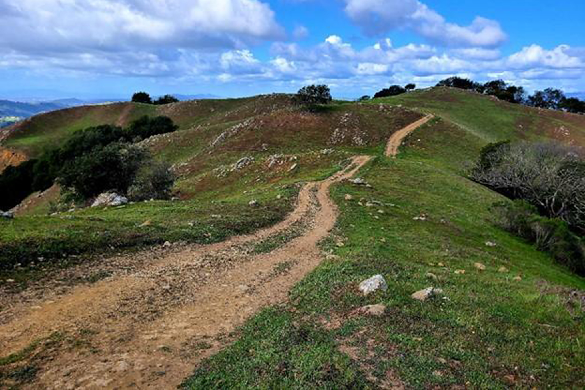 The Tyler Ranch section of Pleasanton Ridge Regional Park (Sunol) has ...