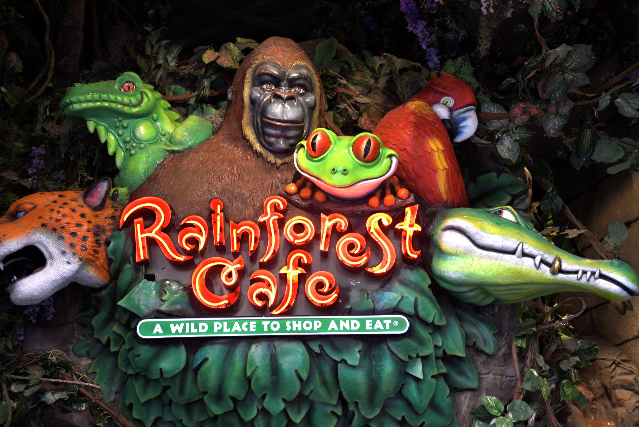 Rainforest Cafe  Soccer Ball – Landry's Inc.