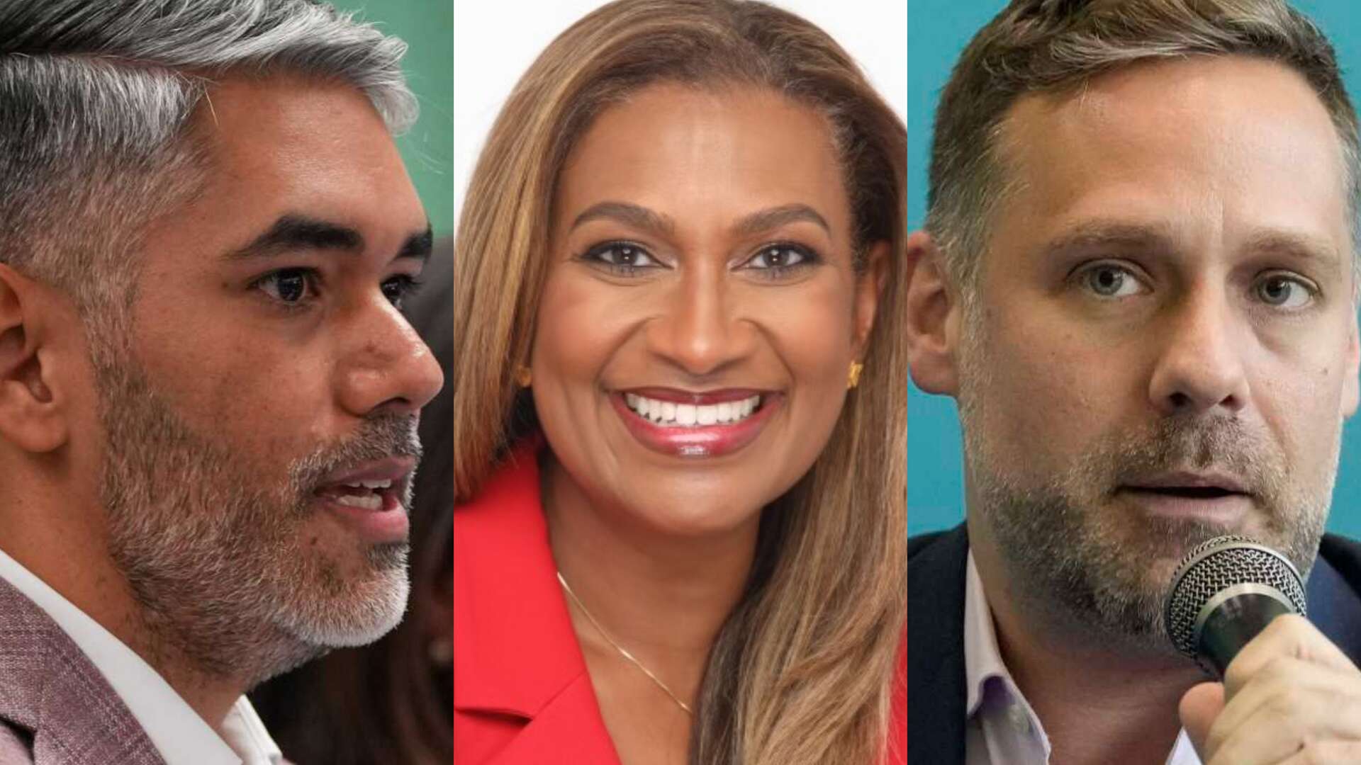 Houston City Council candidates for the city council runoff election