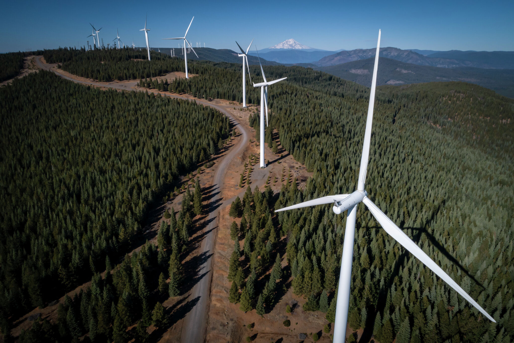 Rising Tree Wind Farm