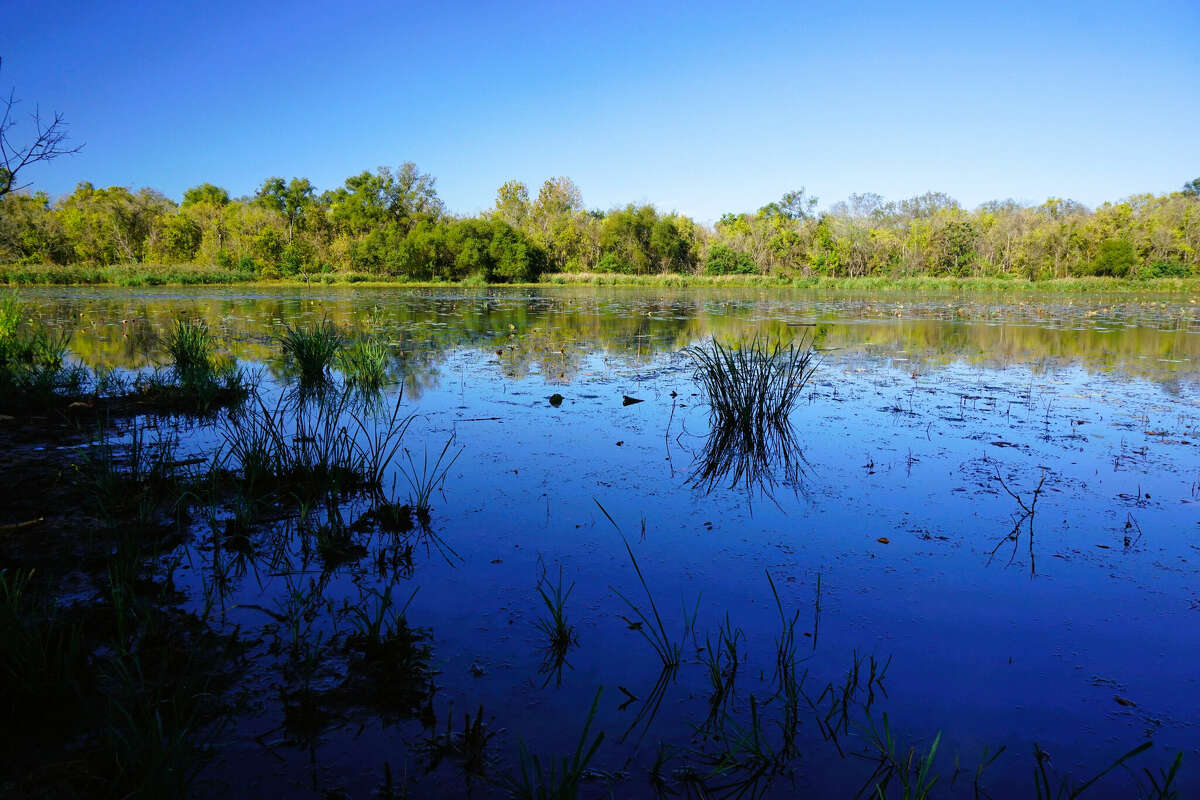 Fairfield Lake State Park Texas