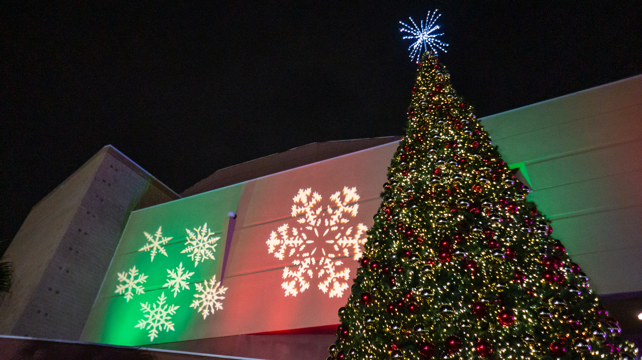 Laredo athletes share their Christmas traditions