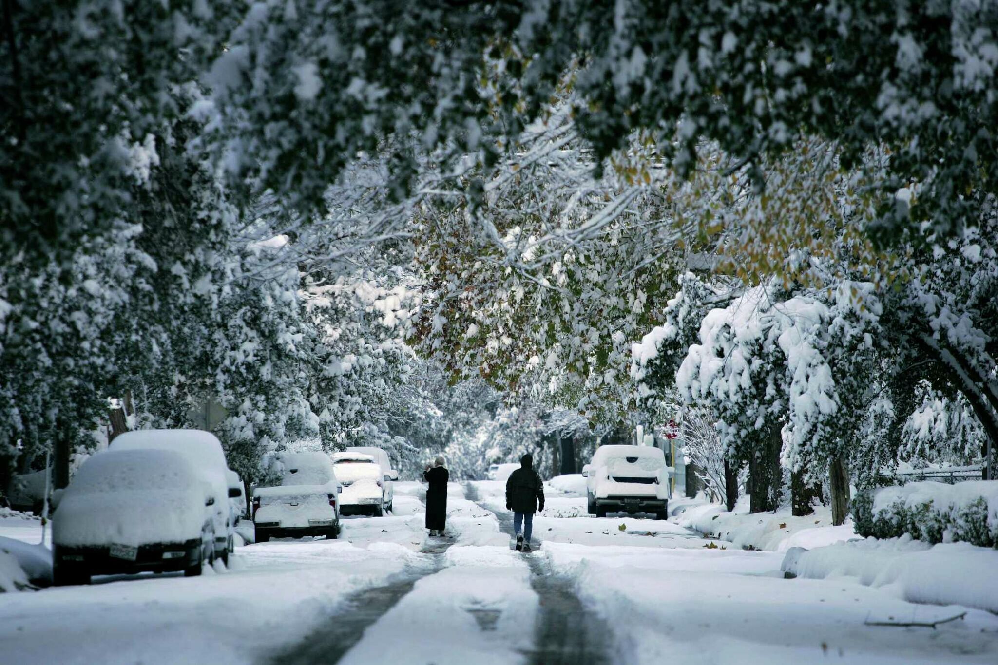 Which Texas city has the best odds of having snow for Christmas?