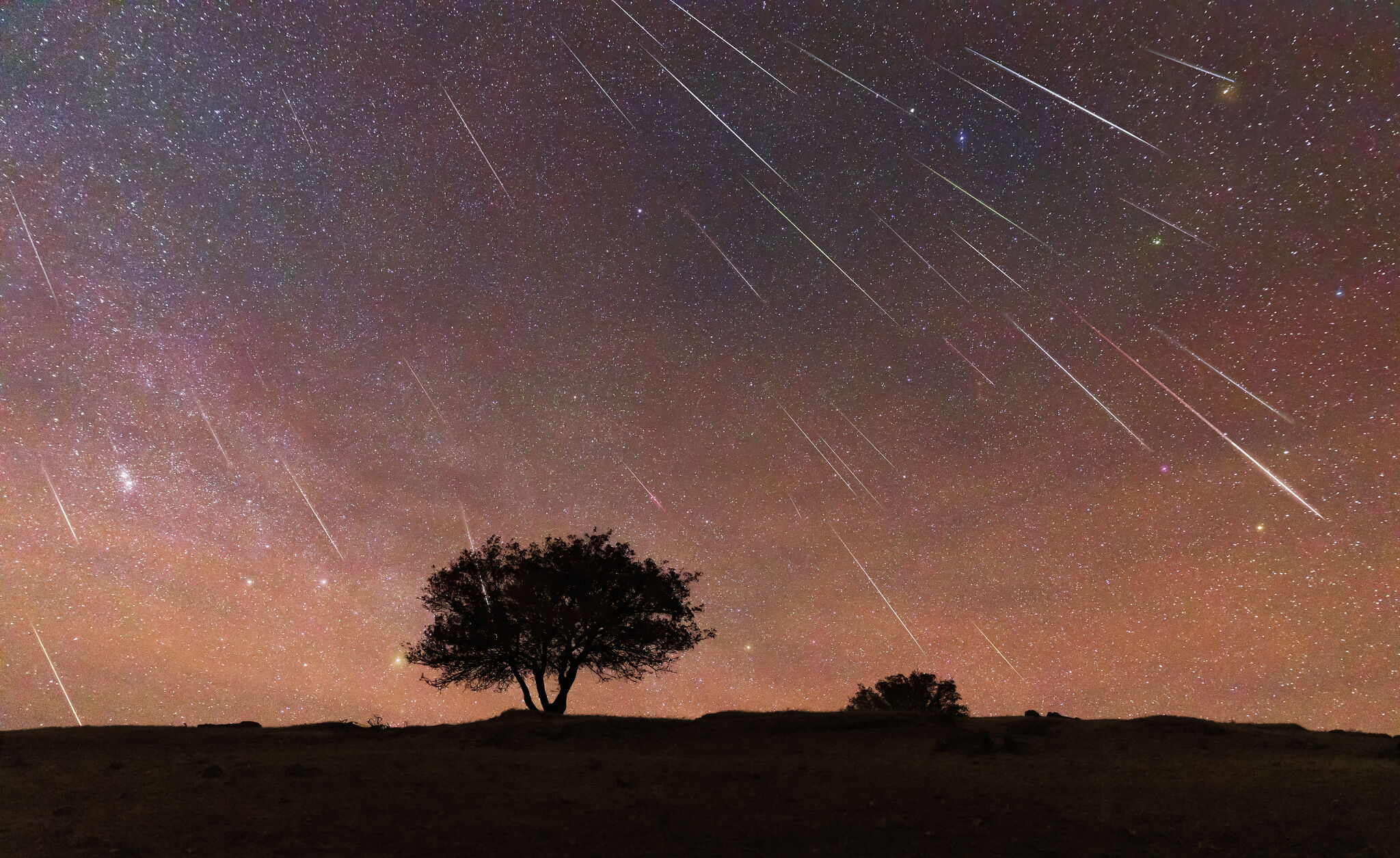 How to see the best meteor shower of the year from Texas