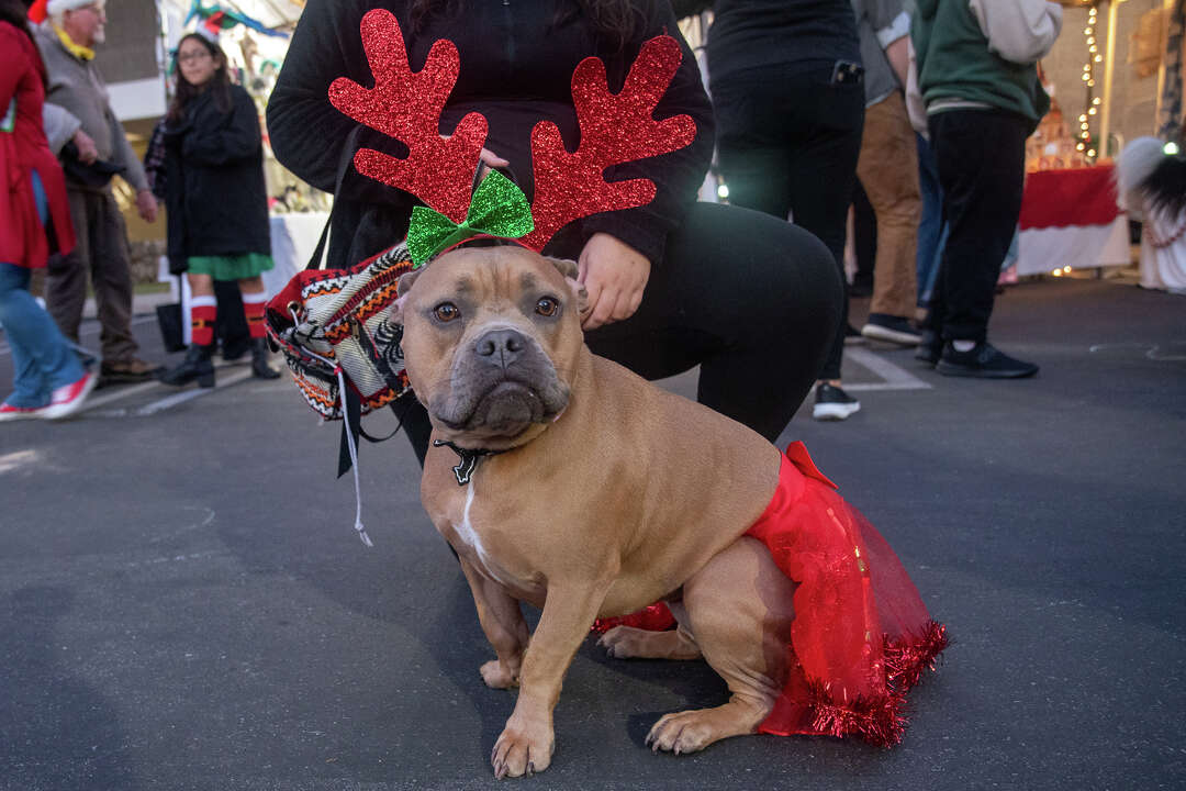 Tiny Calif. community fights to protect Christmas lighting tradition