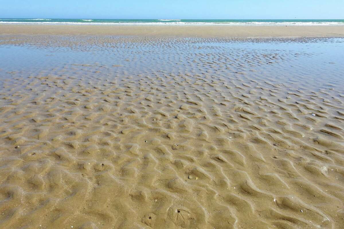 Photo shows ghost shrimp burrows at low tide taken near Mansfield Channel in February 2016. 