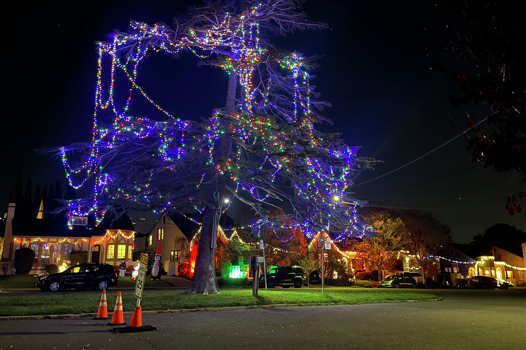 PoE Powered Christmas Lights