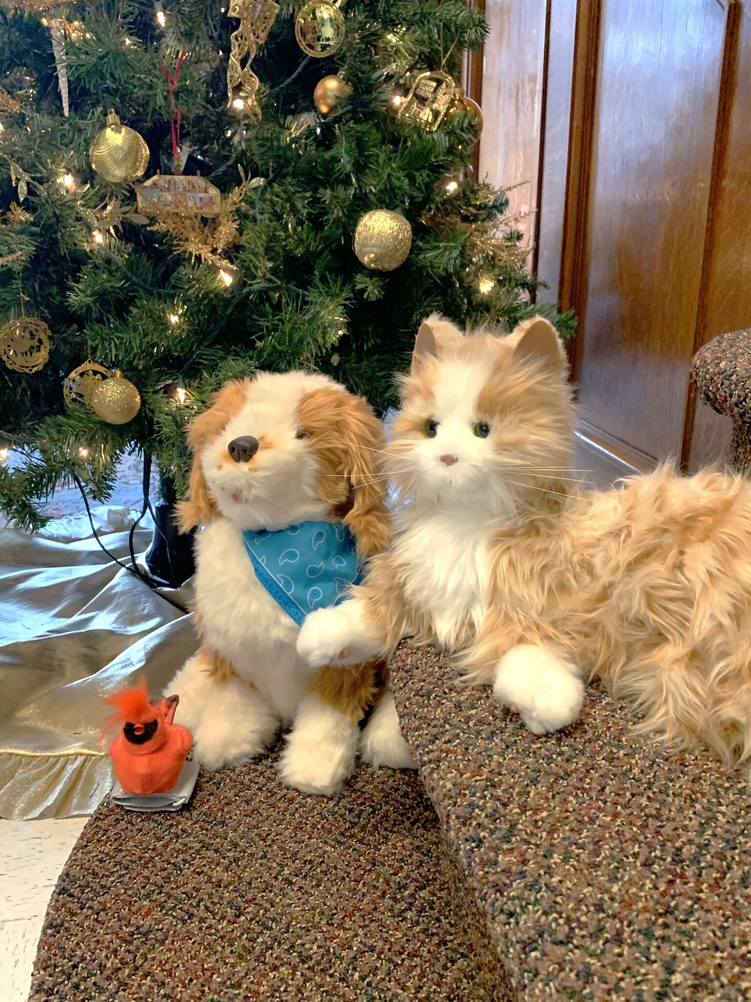 Joy For All - Companion Pet Cat - orange tabby
