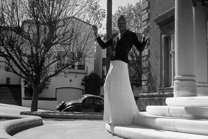 Sylvester main image 1