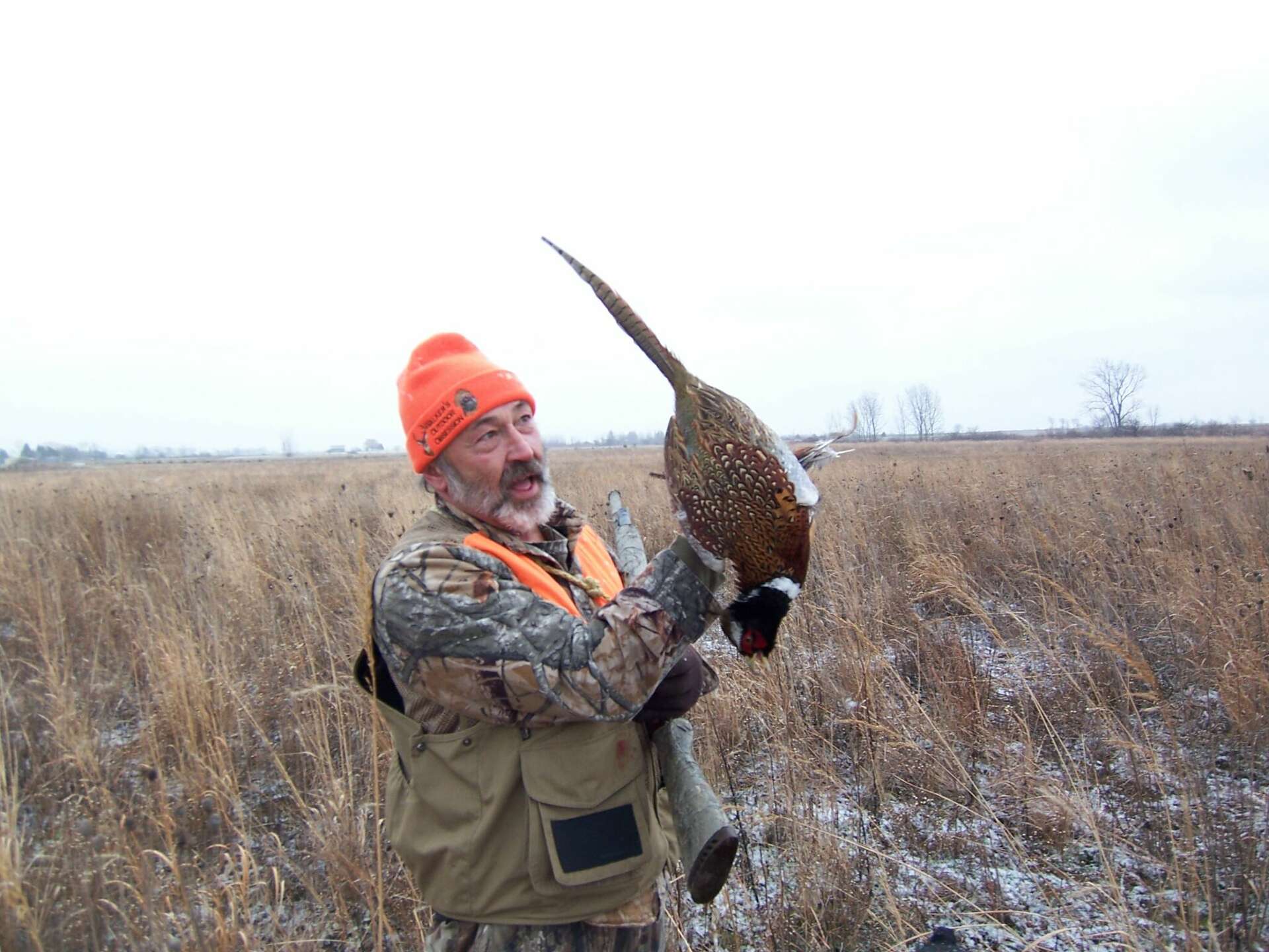 Lounsbury: It doesn't get any better than December pheasant hunting