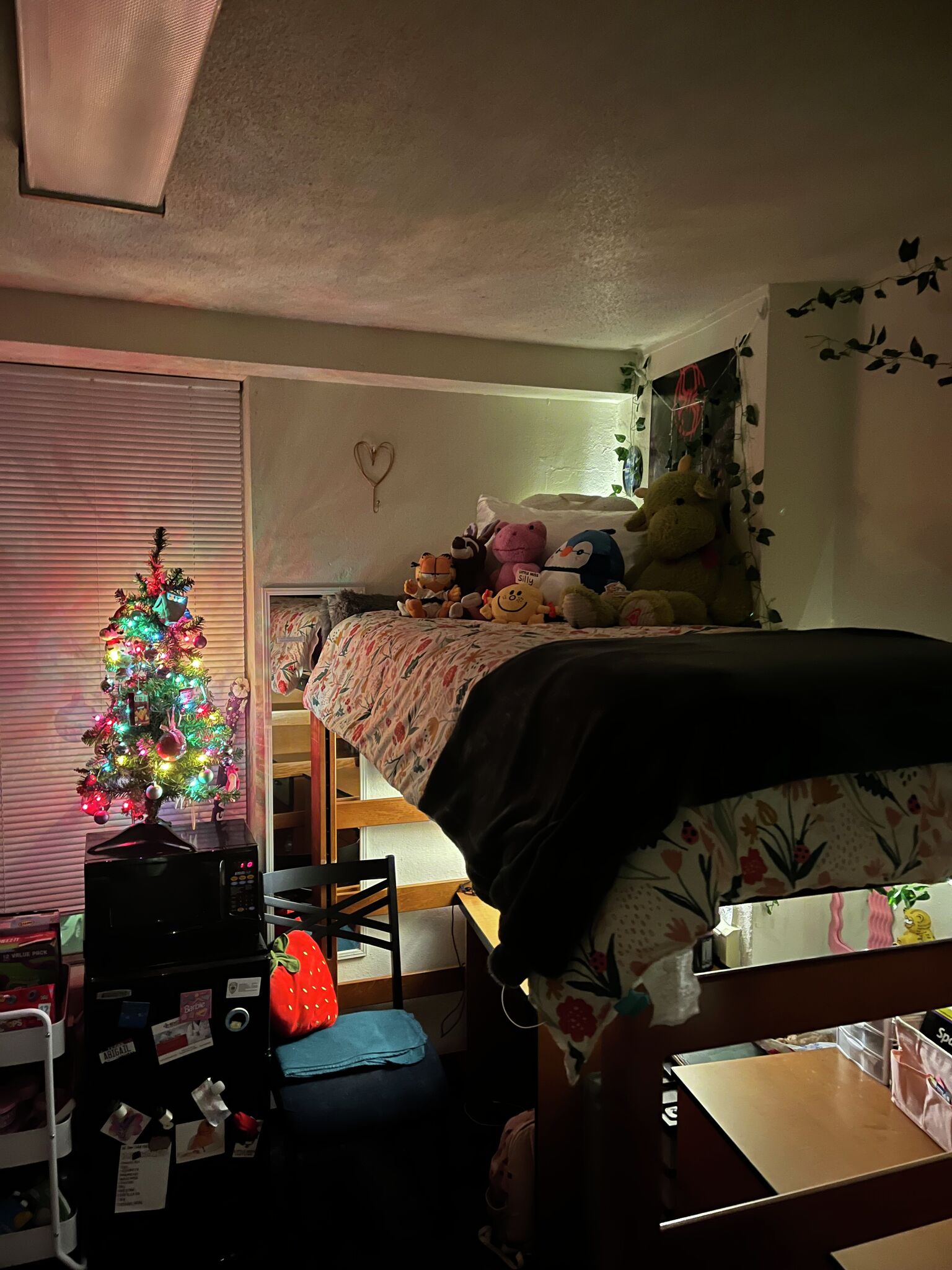 Texas college dorm rooms: Some of the most outrageously nice dorms