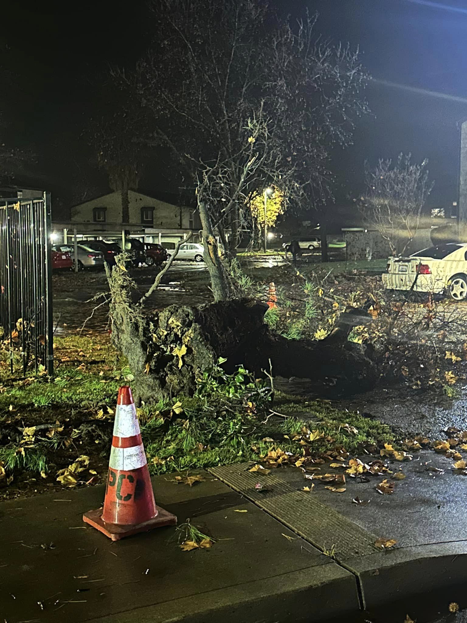 Tornado uproots trees and damages buildings in Northern California