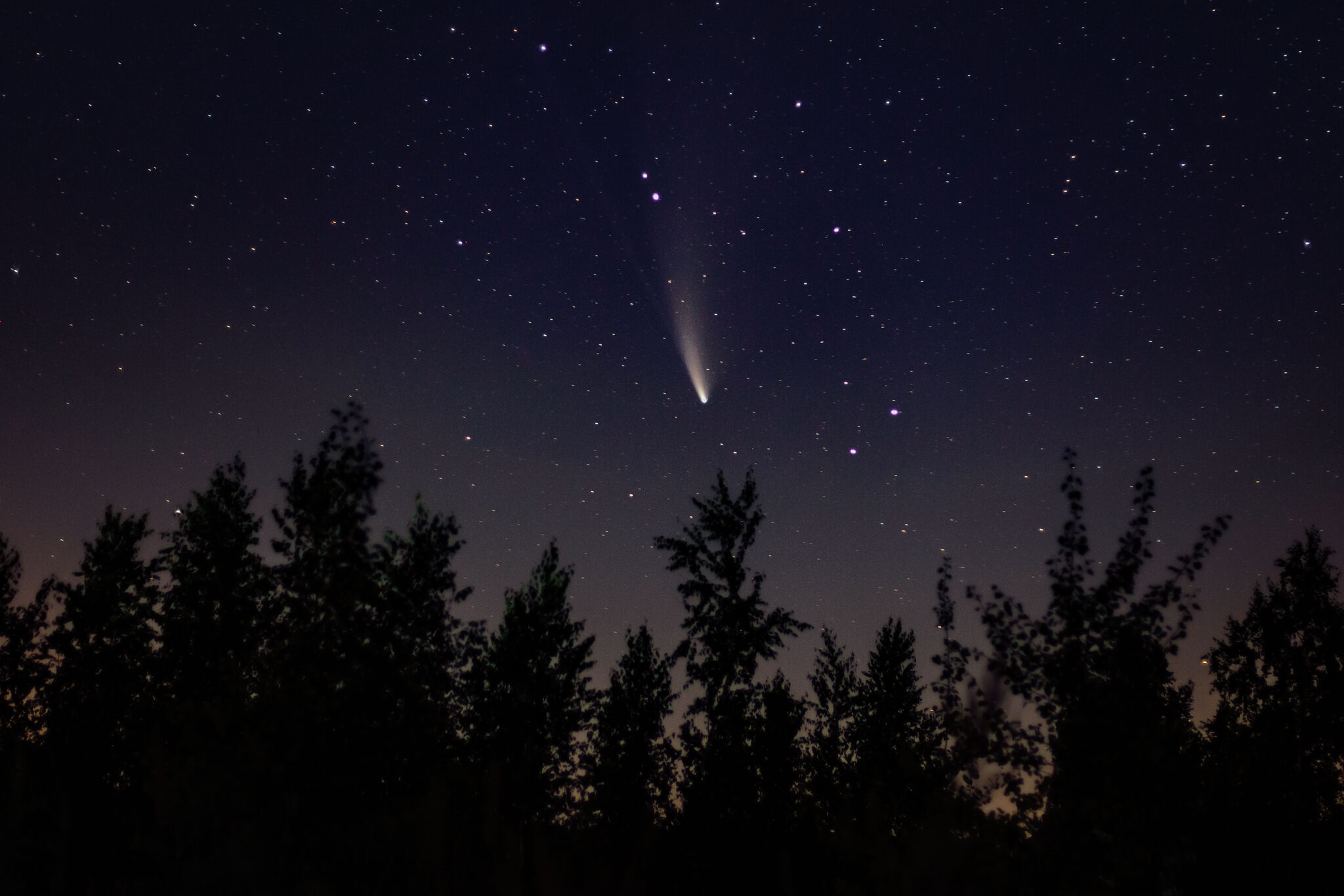 Skygazers anticipate sparkly Ursid meteor shower to peak Friday