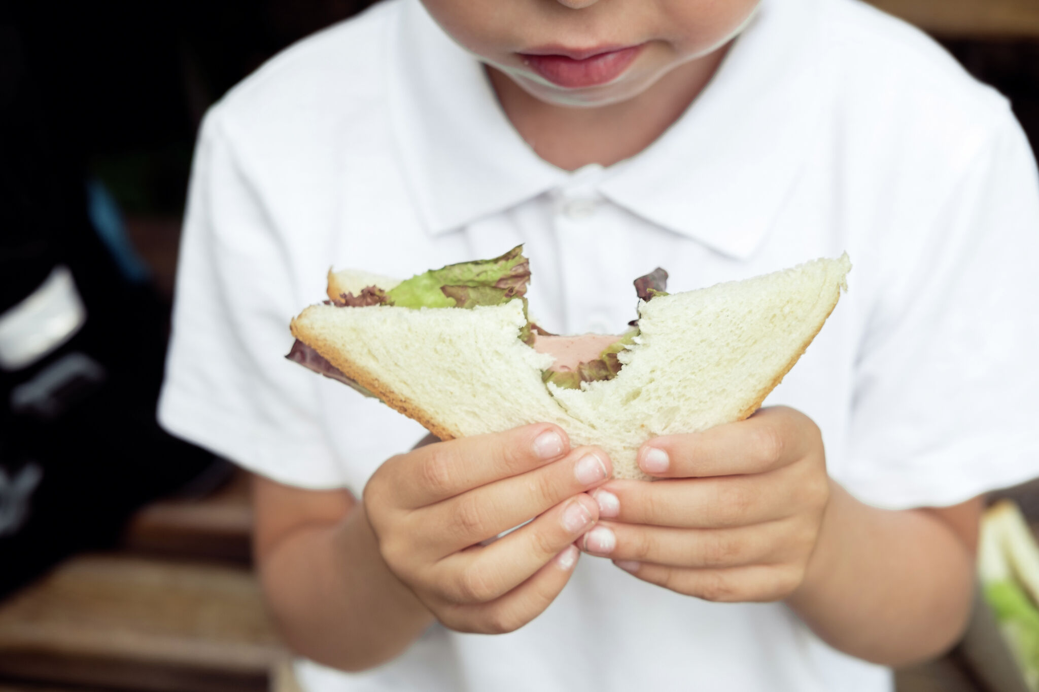 夏季电子食品券计划将帮助孩子们保持饱食——但前提是纽约州选择参与