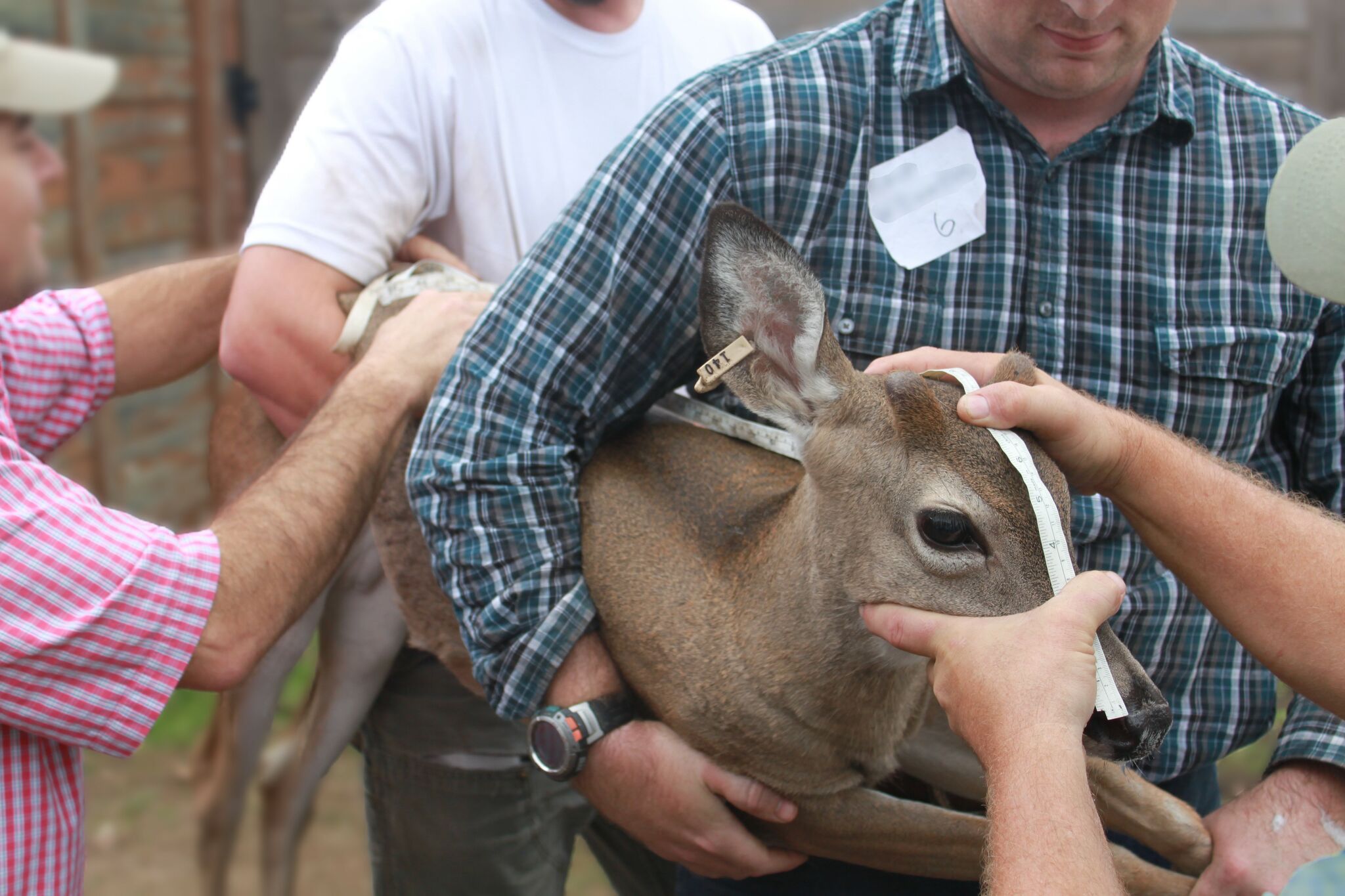 TPWD officials respond to Chronic Wasting Disease at research facility