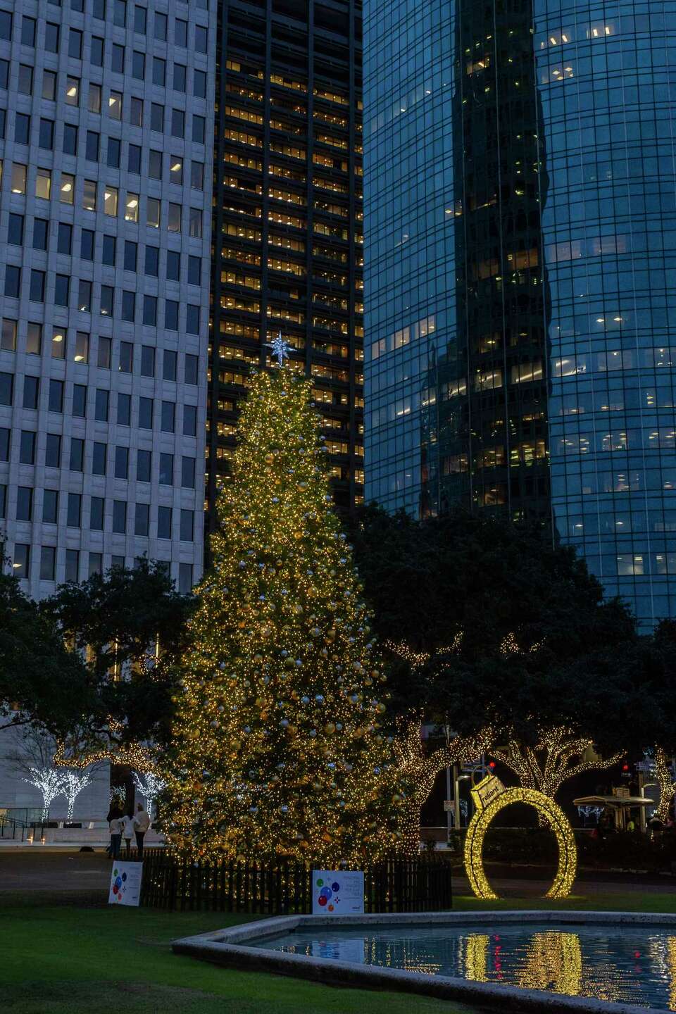 Solid Waste Management Department to help get rid of Christmas trees