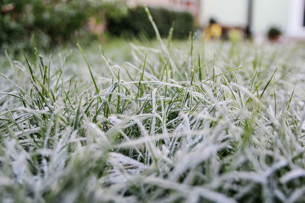 Will Houston record freezing temperatures this winter? Chances increase later this week when the mercury plunges below 40. 