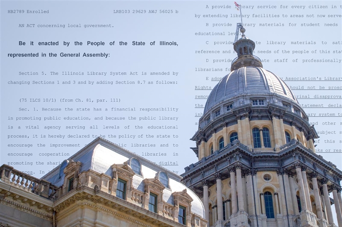 New Year New Laws How Illinois Is Changing In 2024   RawImage 