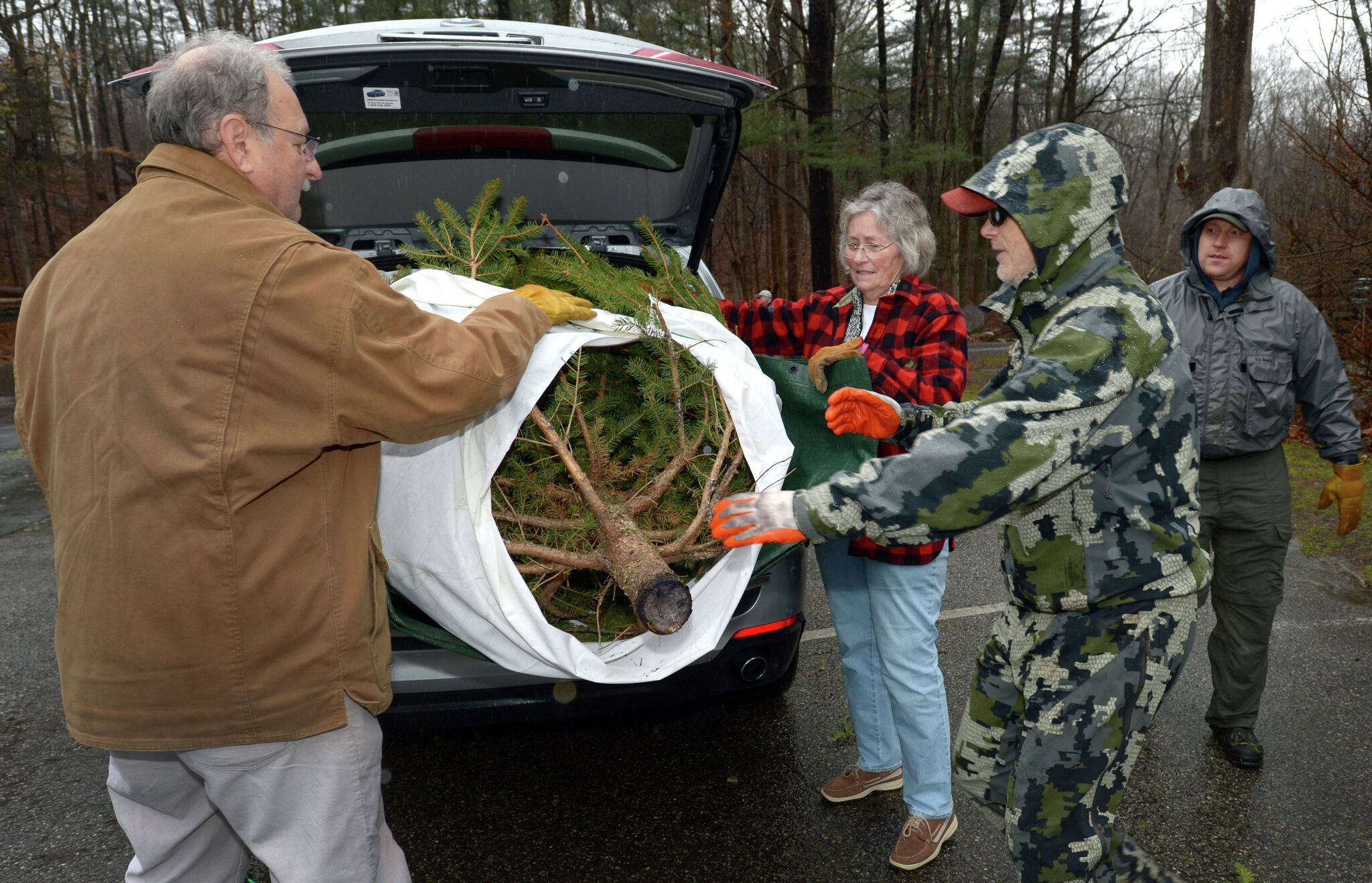In Wilton, recycle your Christmas trees to support the Norwalk River