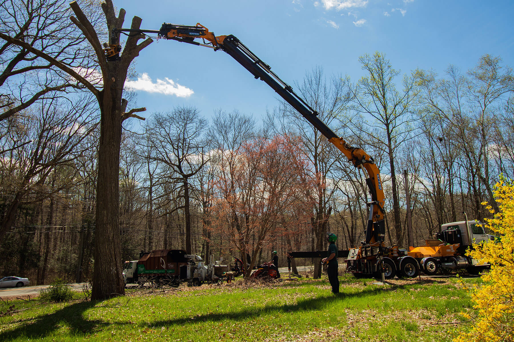 Tree Workers Solving Problem How tech can help shield CT tree workers from death as storms escalate