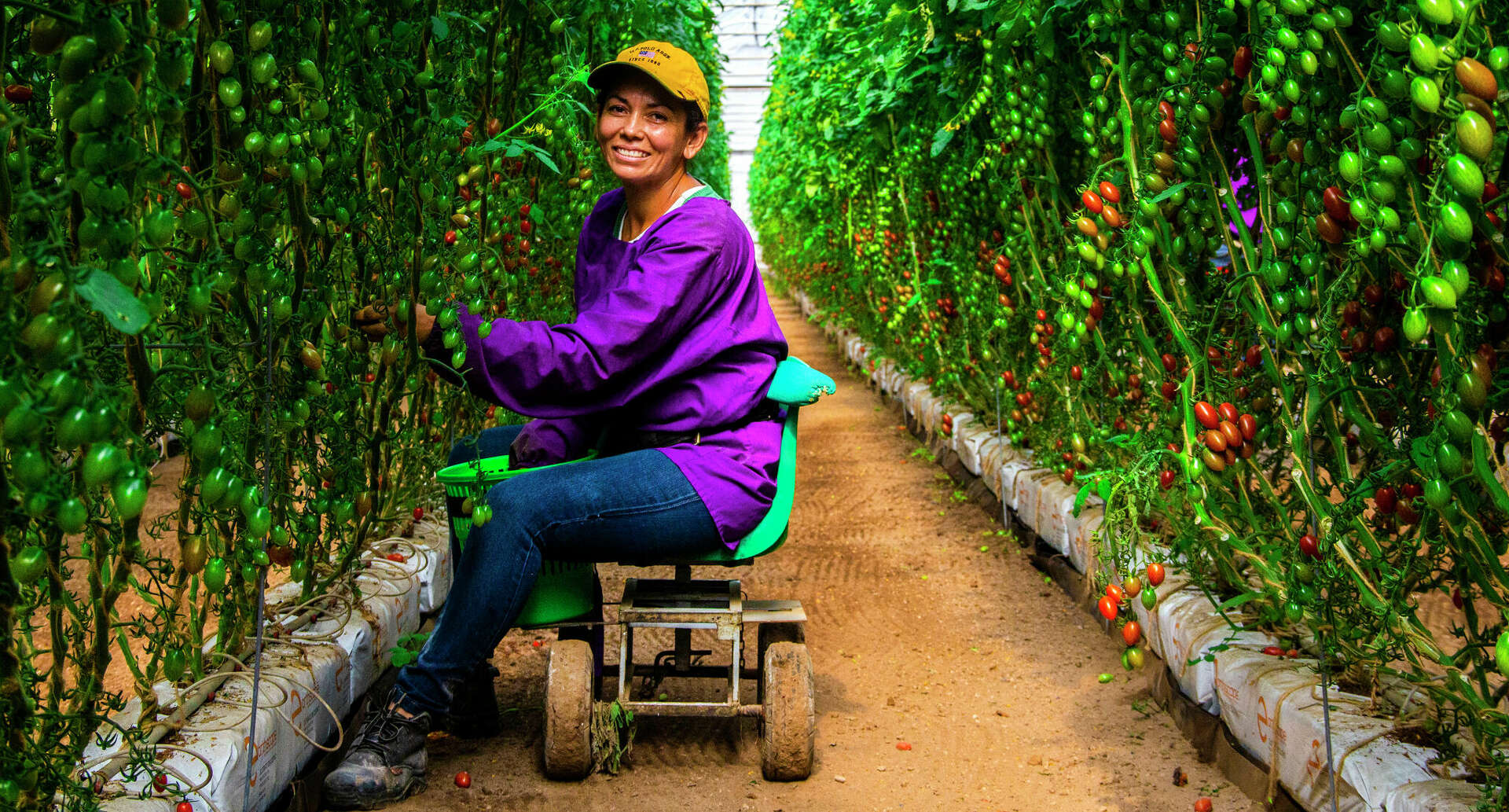 San Antonio-based company caught in war over Mexican-grown tomatoes