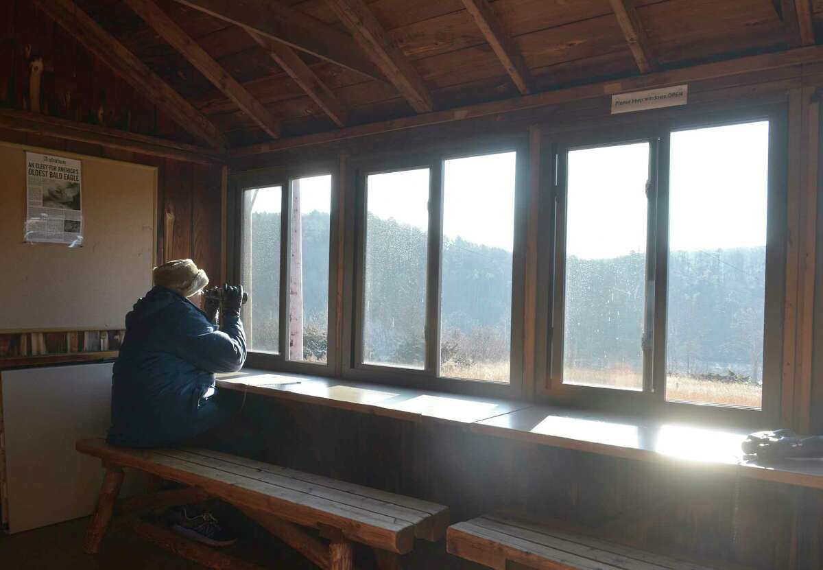 Sharyn Boornazian, of Reading, Mass., tries to spot a bald eagle using binoculars at the Shepaug Eagle Observatory on Wednesday, Jan. 3, 2024, in Southbury, Conn. The observatory is now open for its 38th season, offering residents a unique opportunity to view bald eagles in their natural habitat. The observatory is run by FirstLight, which owns and operates the Shepaug Hydro Generating Station in Southbury. 