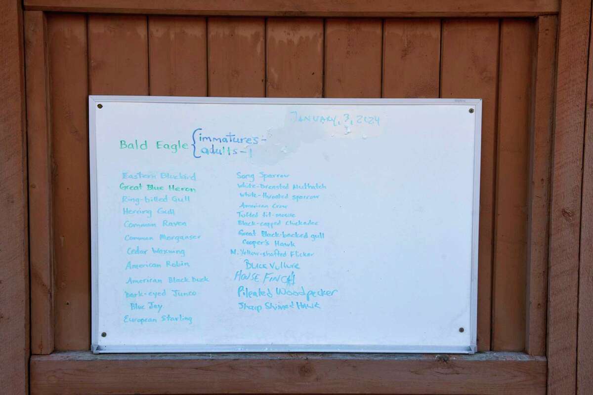 A running total of the eagles and other birds spotted at the Shepaug Eagle Observatory is listed on a board on Wednesday, Jan. 3, 2024, in Southbury, Conn. The observatory is now open for its 38th season, offering residents a unique opportunity to view bald eagles in their natural habitat. The observatory is run by FirstLight, which owns and operates the Shepaug Hydro Generating Station in Southbury.