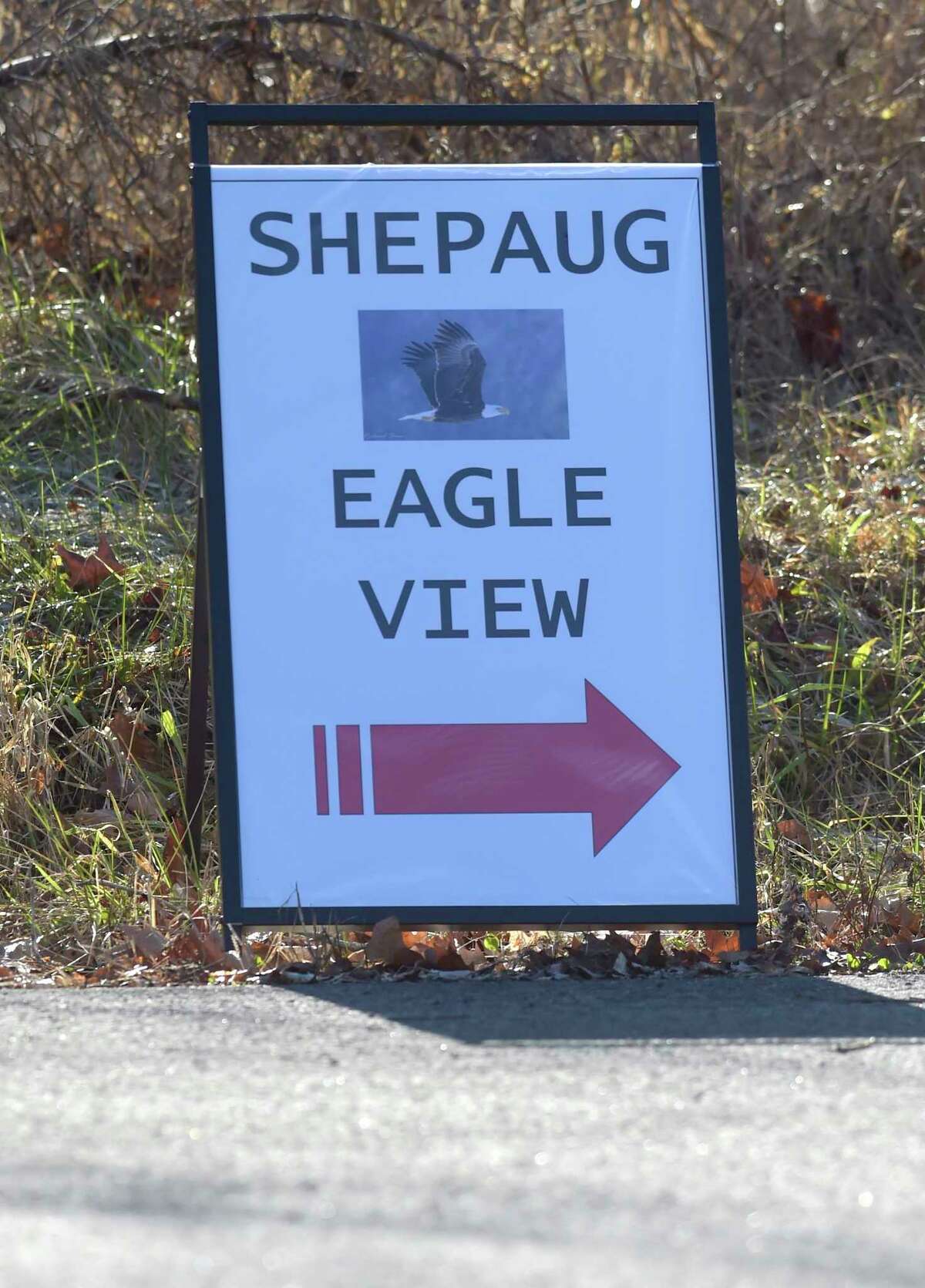 The Shepaug Eagle Observatory is now open for its 38th season, offering residents a unique opportunity to view bald eagles in their natural habitat. The observatory is run by FirstLight, which owns and operates the Shepaug Hydro Generating Station in Southbury. Eagles, hawks and all types of birds of prey flock to the area to feed on aquatic life in the moving waters below the Shepaug Dam. As many as 10 eagles have been seen in a day, with a record of 32 in one day last season. The observatory opened for the new season on Saturday, Dec. 23, and it will be open from 9 a.m. to 1 p.m. Wednesdays, Saturdays and Sundays. 
