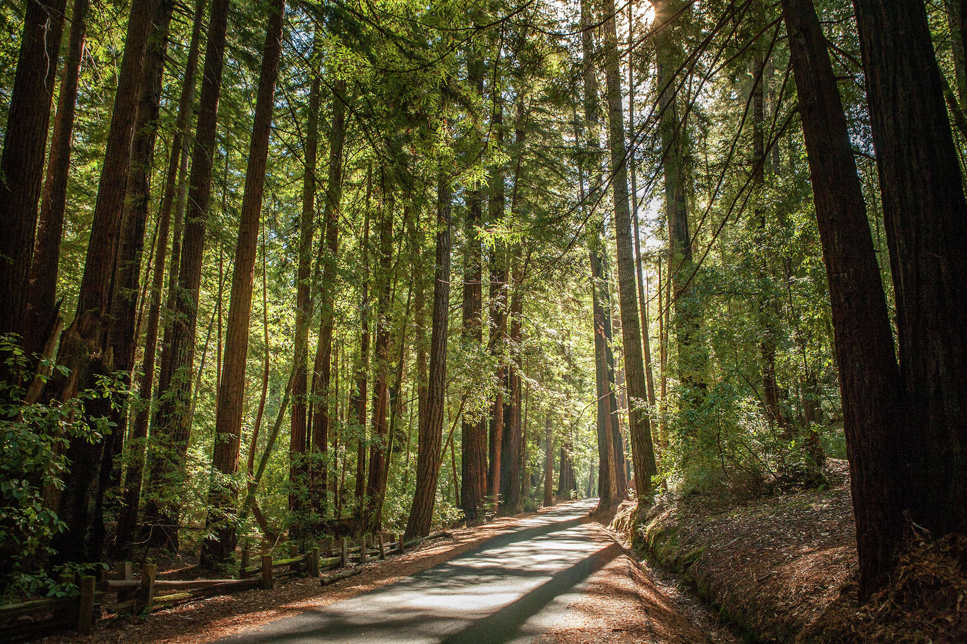 Missing hiker found after 10 days alone in Santa Cruz Mountains
