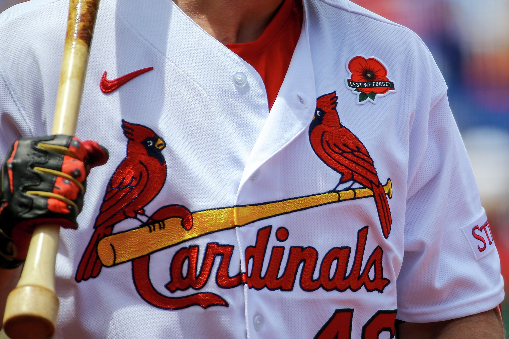 MLB s Cardinals best bird team in sports 4 others have St. Louis ties
