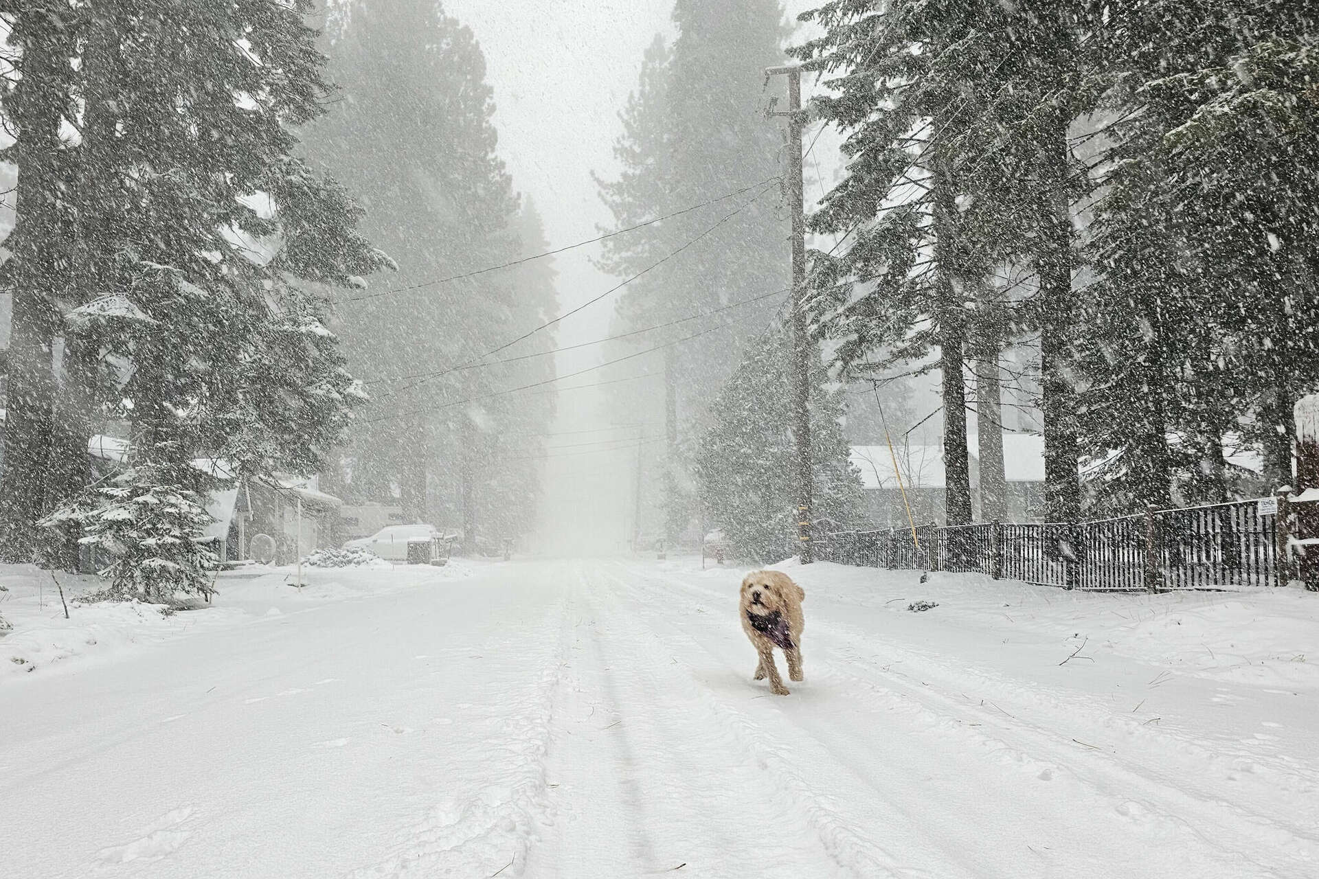 ‘Intense and quick-moving’ snowstorm pounds Sierra, Tahoe