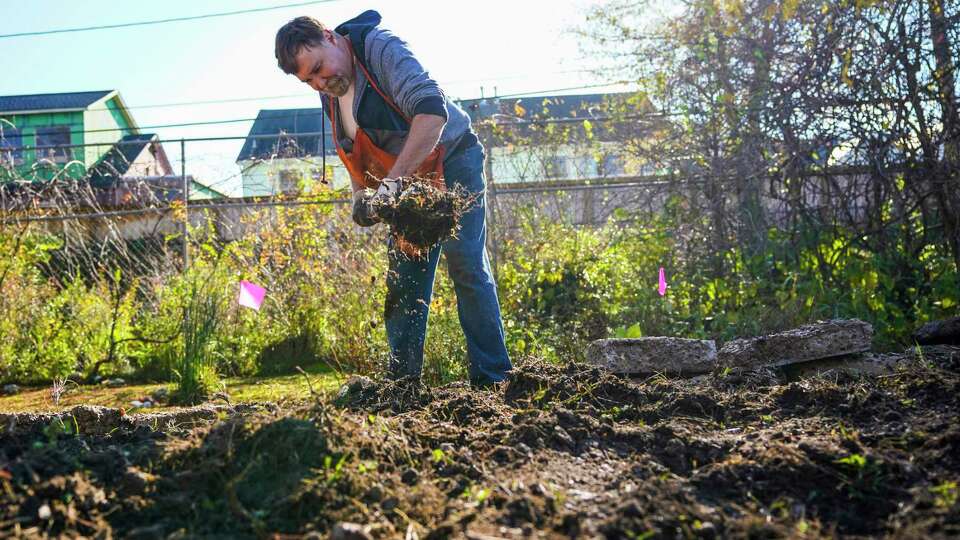 R. Michael Lee digs in what will be a butterfly garden as he and other volunteers worked in the AIDS Memorial Garden in Third Ward on Saturday, Jan. 6, 2024, in Houston. CenterPoint donated trees back to the garden after crews cut down two 40-year-old bald cypress trees without consulting the resident caretaker, and they replaced the trees with two 15-year-old bald cypress trees which cost $15,000 each.