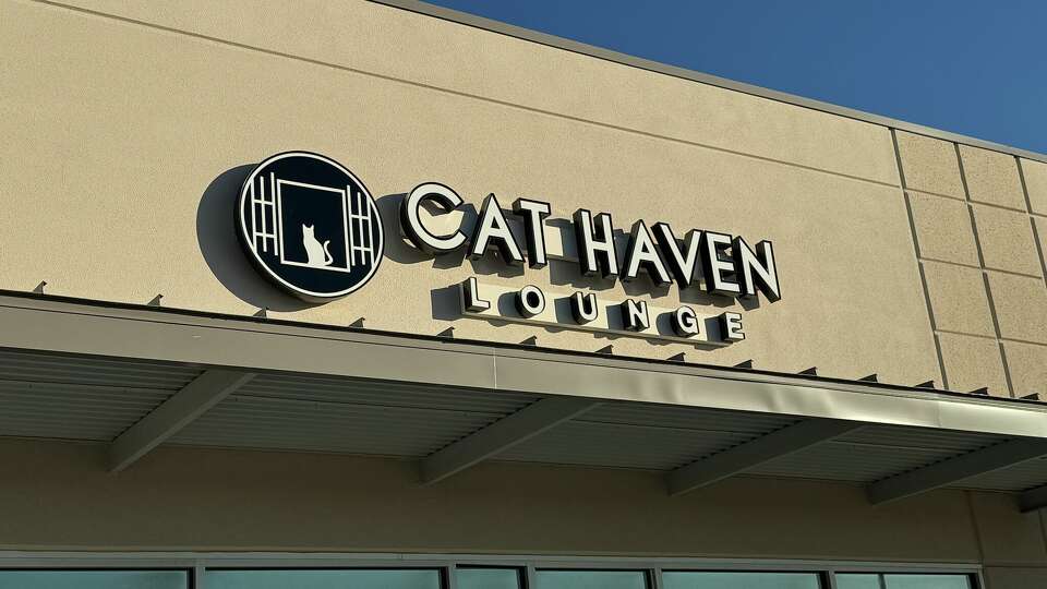 Cat Haven Lounge is under construction in Katy Asian Town on Friday, Jan. 5. 