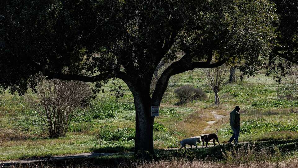 A person and their dogs walk along a path at the site of the former Woodlake Golf Course on Tuesday, Jan. 9, 2024, in San Antonio, Texas. Bexar County announced plans to buy the Woodlake Golf Course for $4.5 million to create the county's largest park.