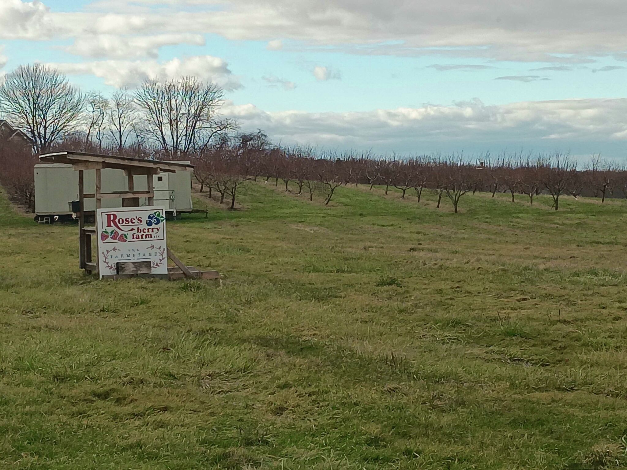Rose’s Berry Farm in Glastonbury says it needs nearby land to survive