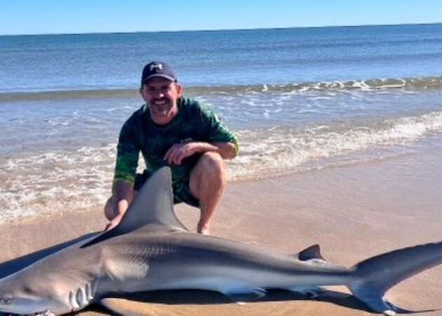 A tagged Sandbar shark that was caught nine years ago at Padre Island National Seashore was caught again in December 2023. 